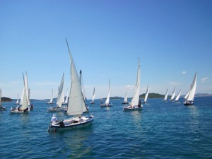 Regatta