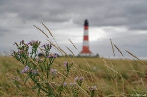 Der Leuchtturm vom Westerheversand